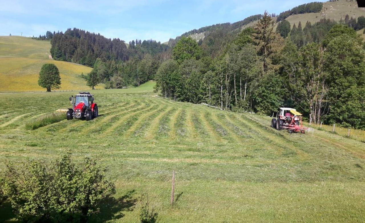 Ferienwohnungen Foidlhof Хохфилцен Екстериор снимка